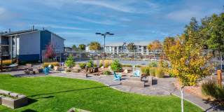 Brighton Place Gallery 8