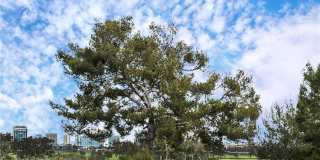 320 Villa Point Drive Gallery 1