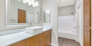 The Townhomes at Biltmore Gallery 22