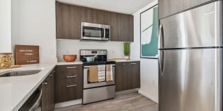 Alea Miami Gallery 37