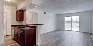 Charming 1BR Condo in Denver Charming 1BR Condo in Denver Gallery 1