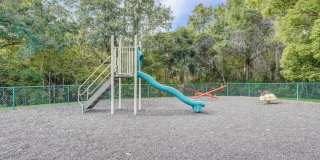 3134 Lake Pine Way Gallery 19