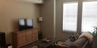 Sycamore Apartments Gallery 12