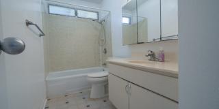 3 Bd 2 ba  1 assigned parking 3463 Keanu Street (downstairs) - $3,000 Gallery 15