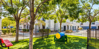 The Willows at Town Center Gallery 24