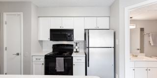 Steeplechase Gallery 1