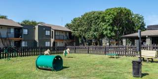 Fusion Fort Worth Gallery 26