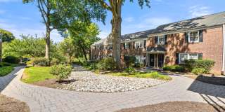Mary Ann Apts Gallery 13