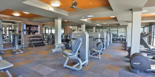 Olympus Steelyard Gallery 36