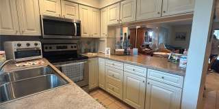 202 46TH AVENUE Terrace W Gallery 4
