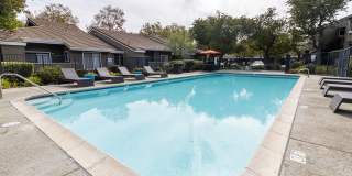 Monte Vista Apartments Gallery 18