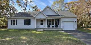 45 COREOPSIS Street Gallery 1