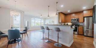 1019 Costa Pacifica Way Gallery 2