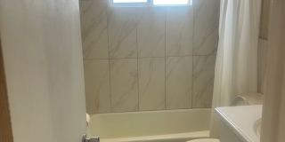 Freshly Updated 3BR Home in Security-Widefield — Available Now! Gallery 18