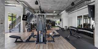 Arvella Arvella Gallery 47