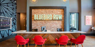 Bluebird Row Gallery 10