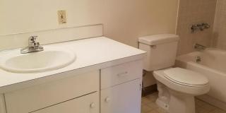 Rochelle Apartments Gallery 9