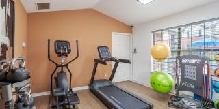 ReNew Brandon Gallery 16