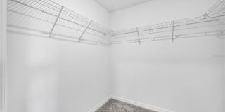 2524 SUNRAY VENUS WAY Gallery 34