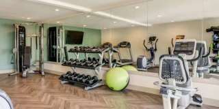 Rica Vista Gallery 3