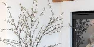 229 Bonair St Gallery 34