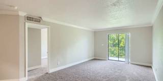 Spectra at Tamarac Gallery 16