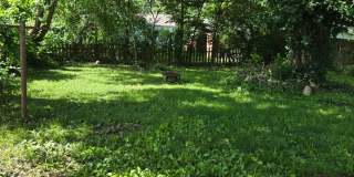 Spacious 4-Bedroom Home with Large Fenced Yard in a Quiet Neighborhood Spacious 4-Bedroom Home with Large Fenced Yard in a Quiet Neighborhood Gallery 13