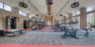 Berkshire at the Rim Berkshire at the Rim Gallery 8