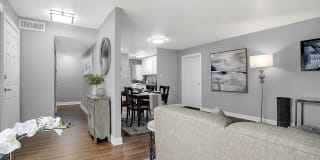 Verona at Silver Hill Gallery 4