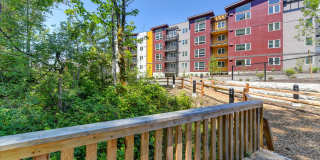 Avaya Ridge Gallery 32