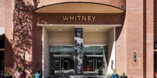 Whitney Uptown Gallery 17