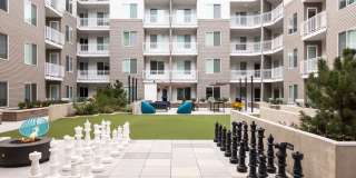 Fellow at Fitz Gallery 20