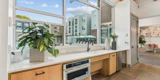 Bluebird on Seventy Gallery 15