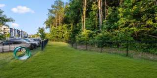 The Anson Gallery 23