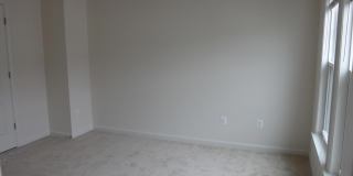 43297 NOVI Terrace Gallery 11