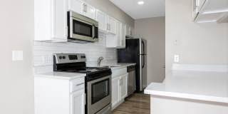 Venice Park Gallery 5