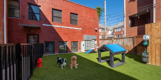 Lofts at Franklin Lofts at Franklin Gallery 24