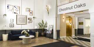 Chestnut Oaks, 55+ Gallery 27