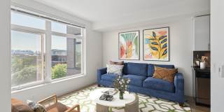 Sundodger Gallery 2