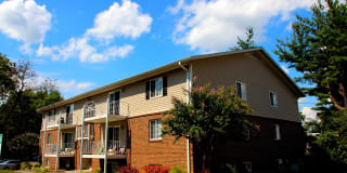 Salem Wood Gallery 1