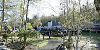 The Signature Gallery 32