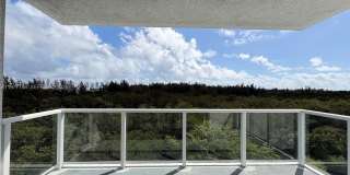 15051 Royal Oaks Ln Gallery 18