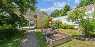 Cozy 3BE/2.5BA Colonial in Takoma Park with screened porch! Gallery 8