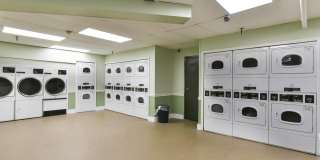 Ashton Heights Gallery 13