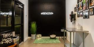 The Common Gallery 25