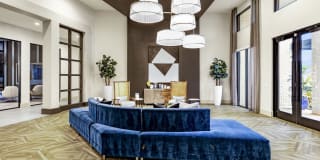 Domain Town Center Gallery 15