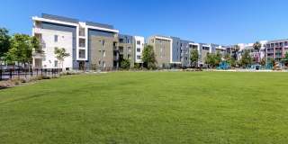 LINQ LINQ Gallery 16