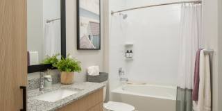 Solano Belleair Gallery 43