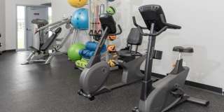 Cinnamon Ridge Gallery 31