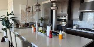 4140 Yucca Bloom Street Gallery 22